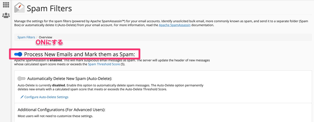 Process New Emails and Mark them as Spanボタン