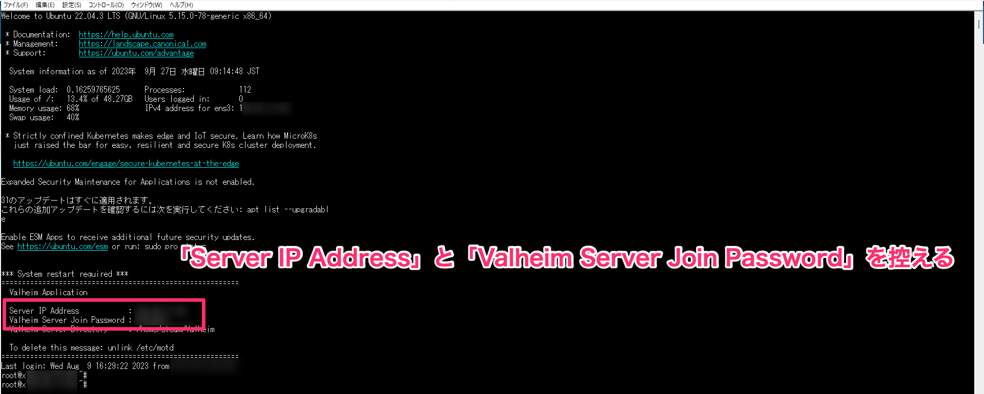 サーバー情報に書かれた「Server IP Address」と「Valheim Server Join Password」