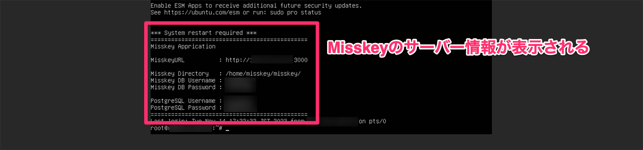 コンソールに表示されたMisskeyのサーバー情報
