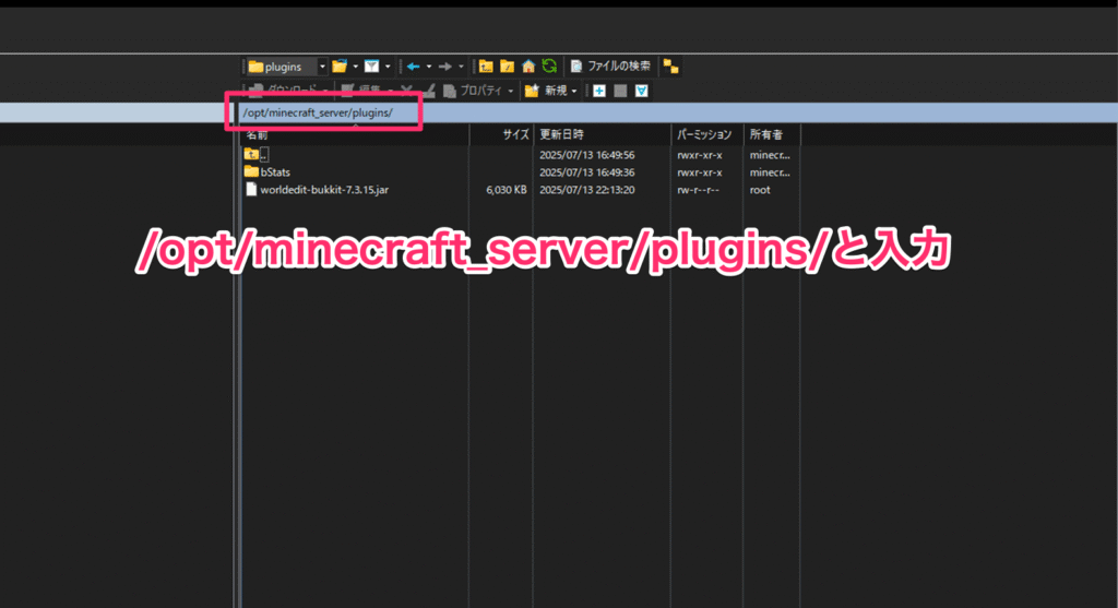 WinSCPで開かれたpluginsフォルダ