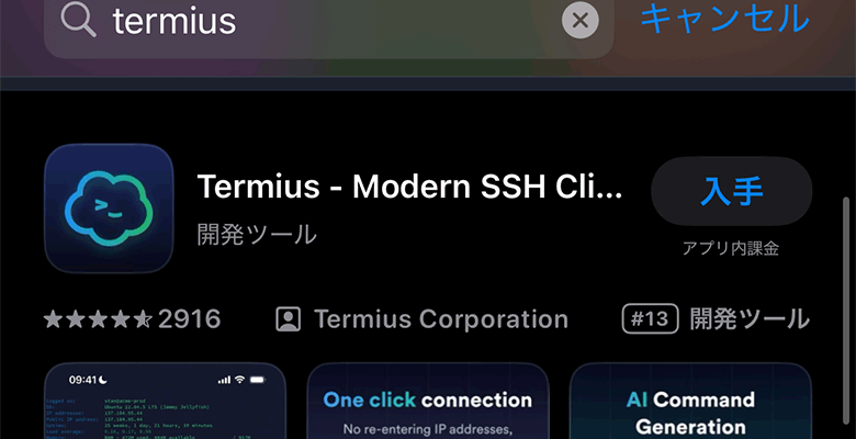 Termiusのインストールボタン